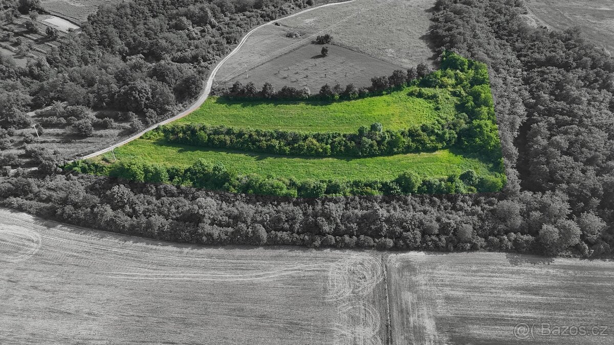 Prodej 1/4 pozemku, Bechlín - 2