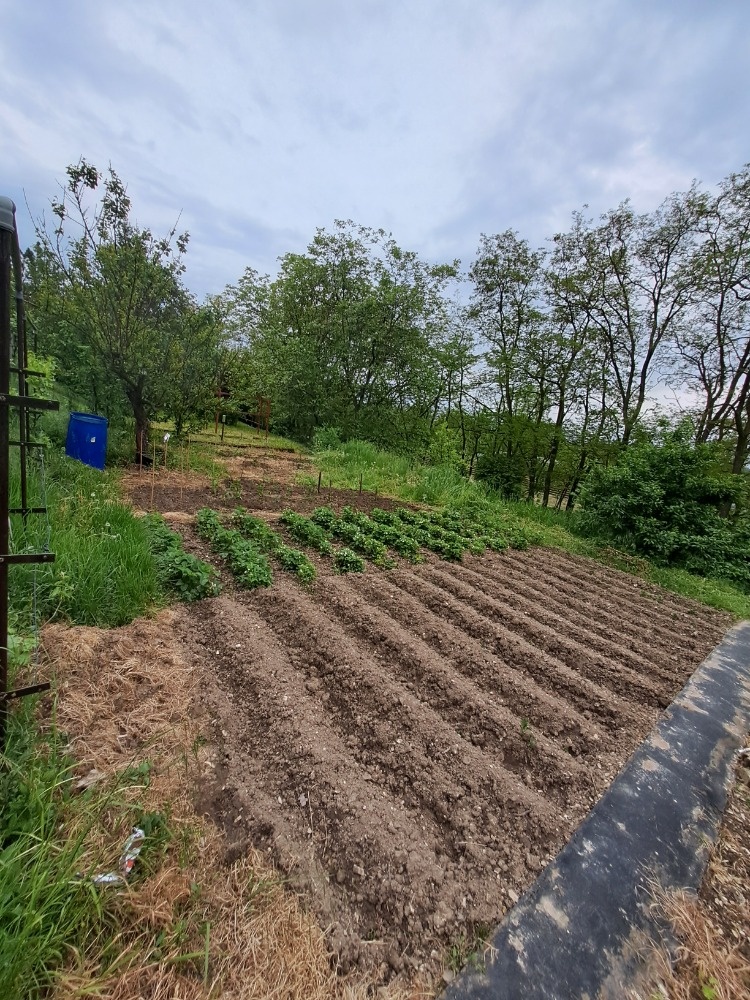 Prodej zahrady v LITOMĚŘICÍCH - 2