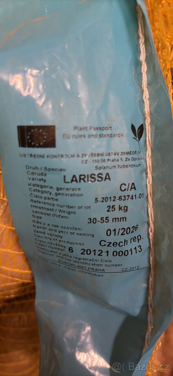 Sadbove brambory - 2