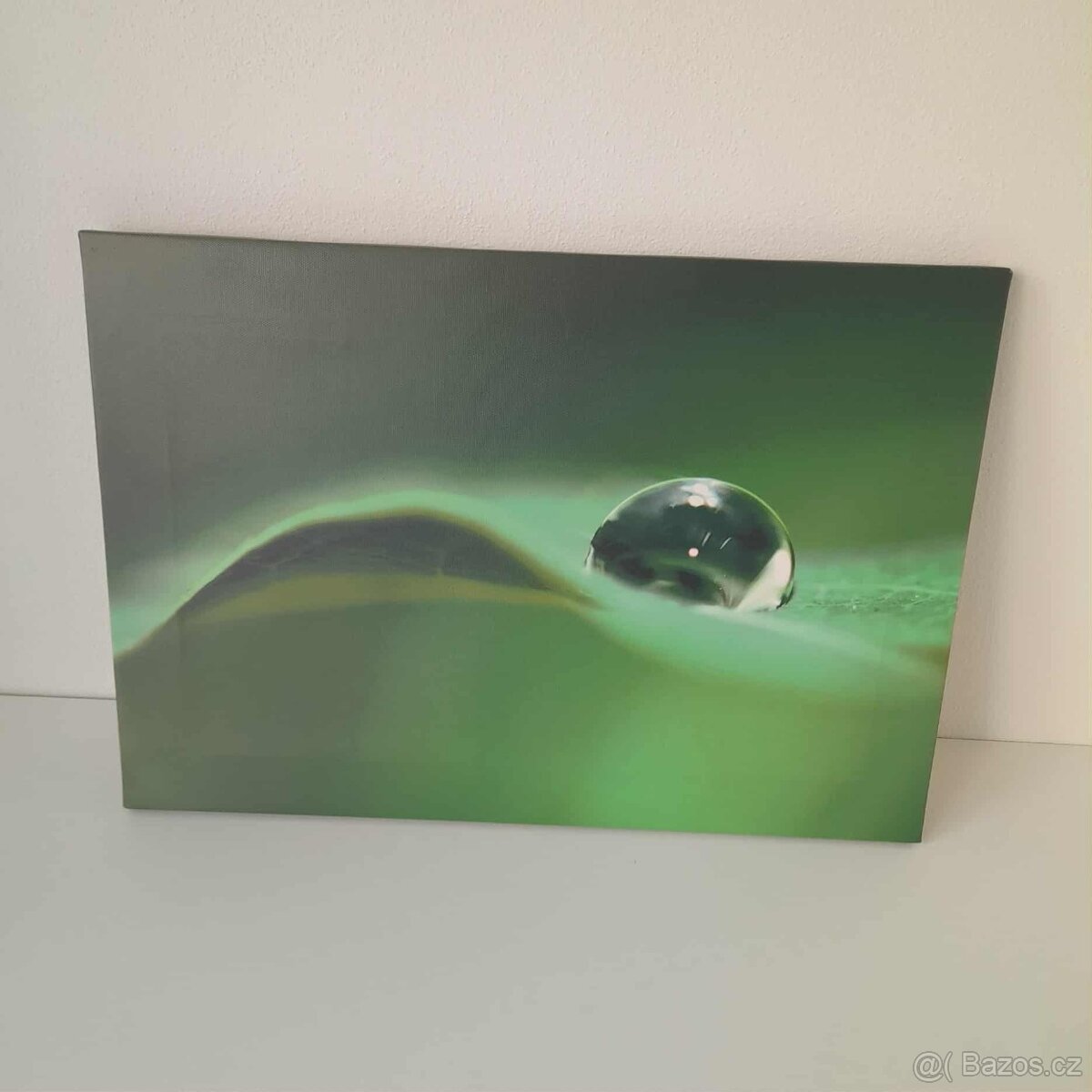 Obraz Kapka rosy - 2