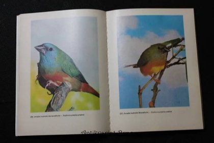 Chováme exorické ptactvo - 2