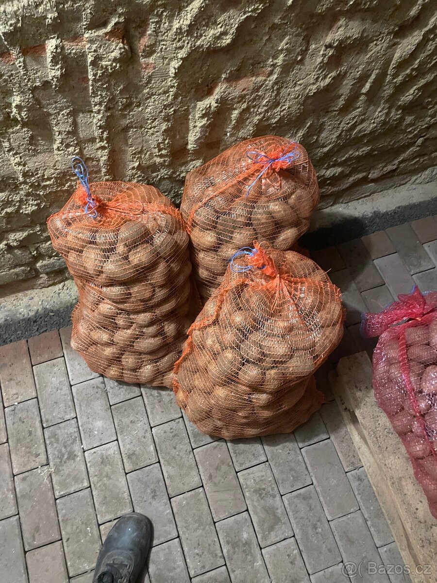Brambory na uskladnění - 2
