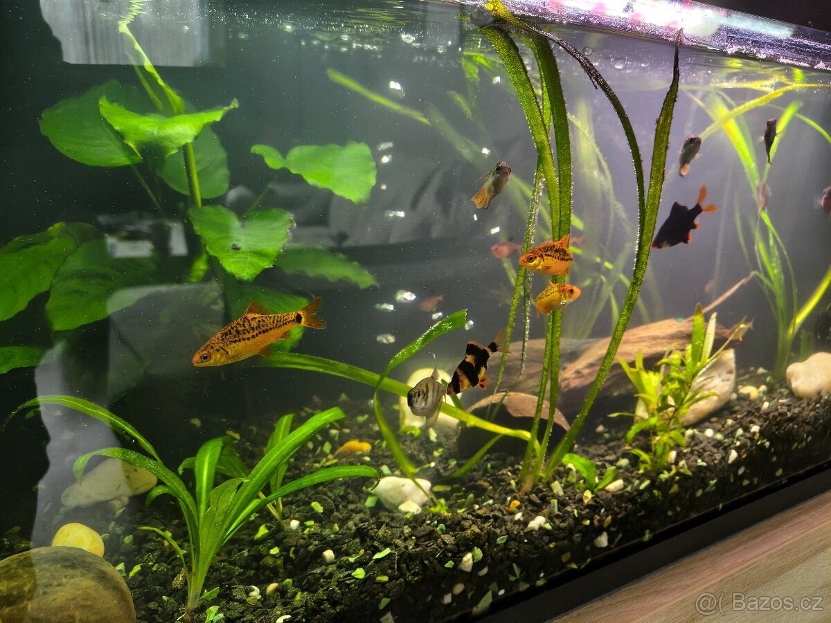 Akvárium Juwel - 2