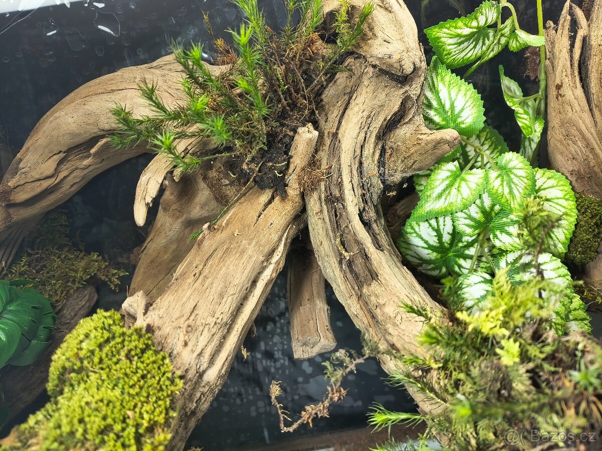 Terárium 60x45x45 - 2