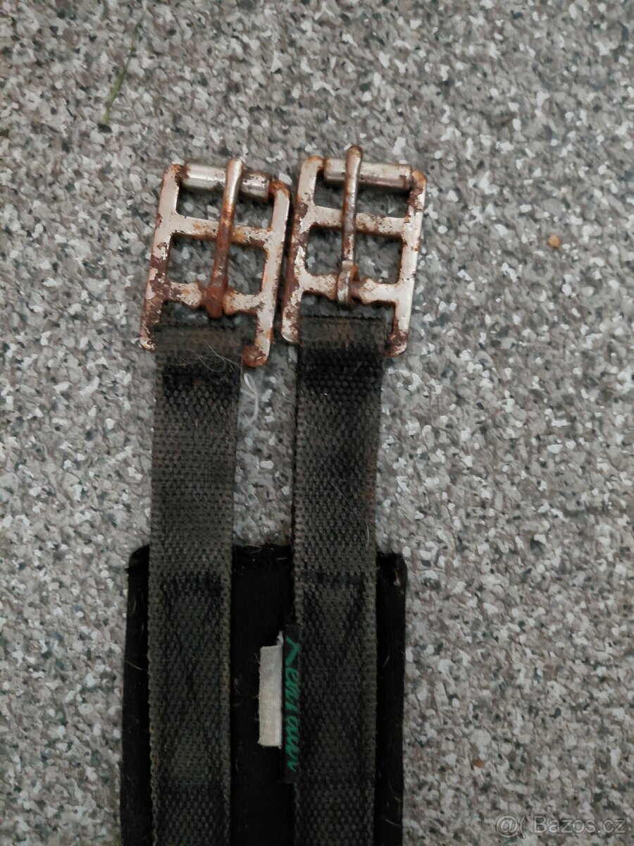 Podbrišňík kentaur - 2