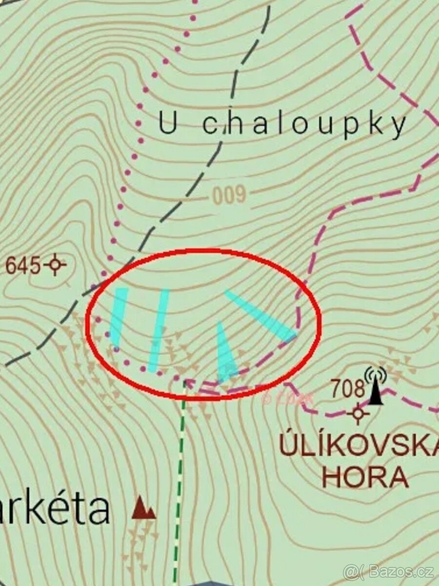 Prodám lesní pozemky - 2