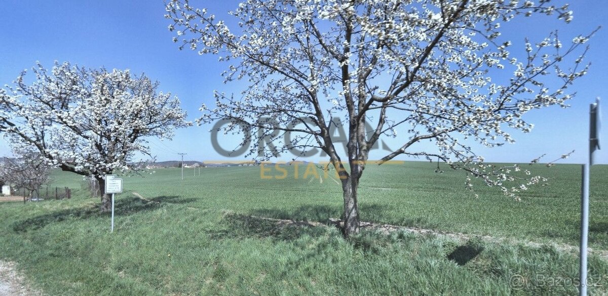 0,54 ha pozemků v k.ú. Moravany u Kyjova - 2