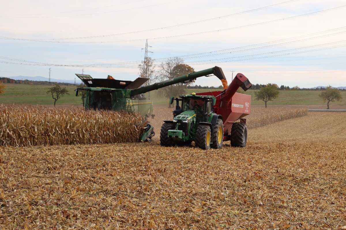 Kukuřice zrno suchá - 2