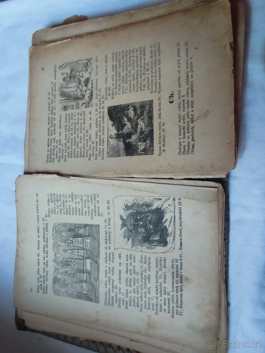 Starý Storchuv snář 1903 - 2