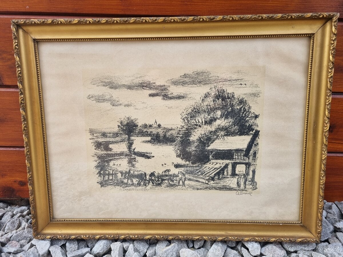 obrazy - různé - 2