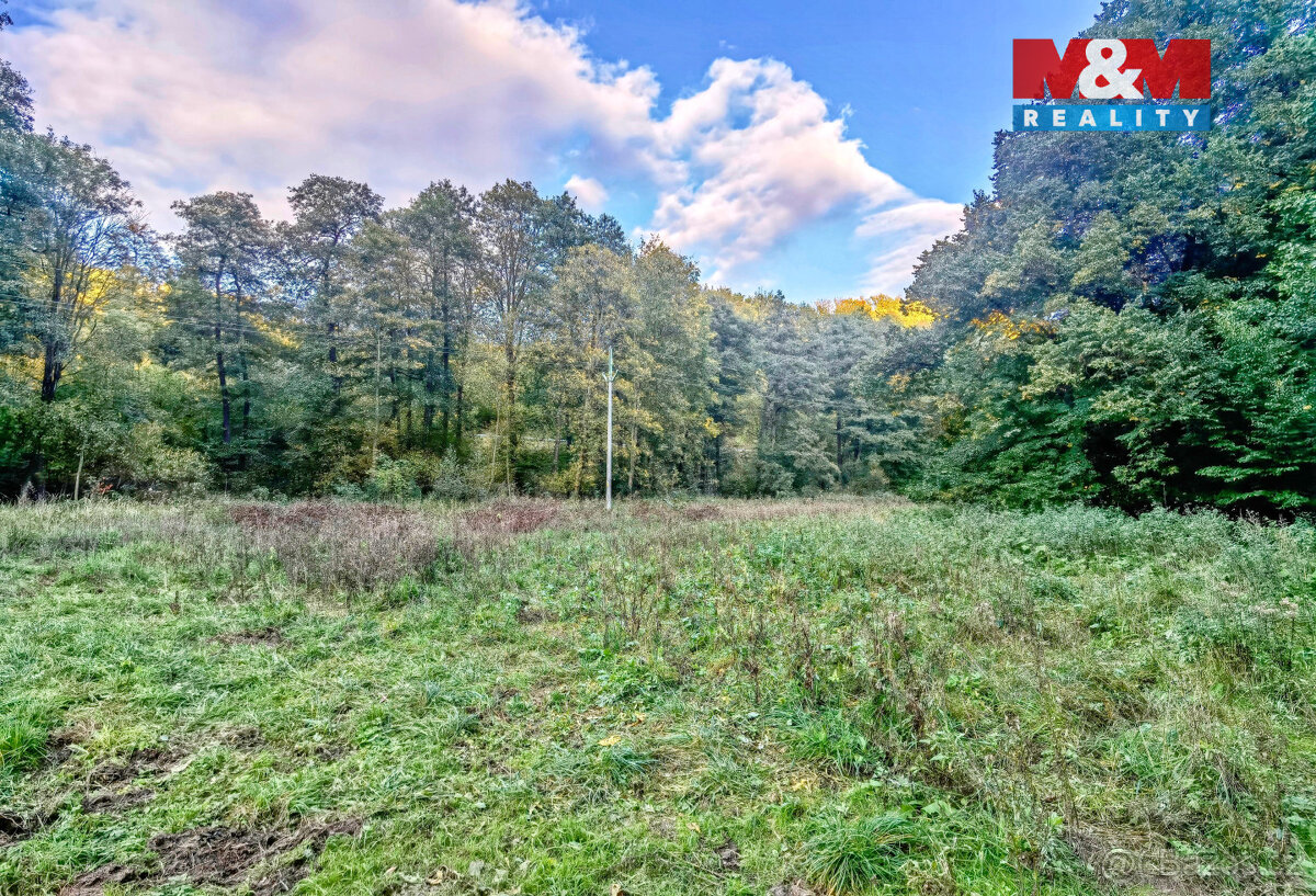 Prodej louky, 2421 m², Biskupice - 2