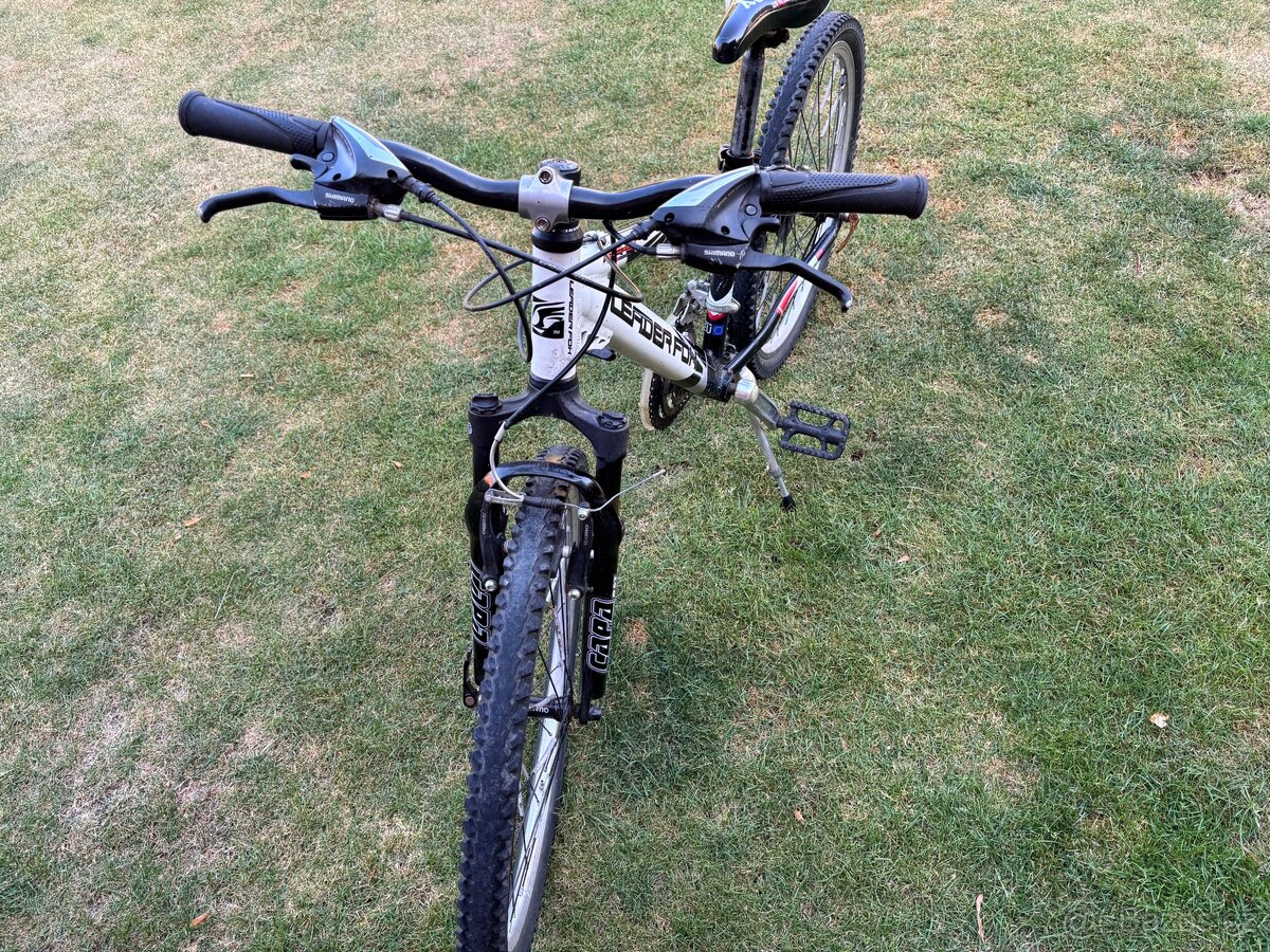 Dětské kolo Leader Fox 24 Spider - 2