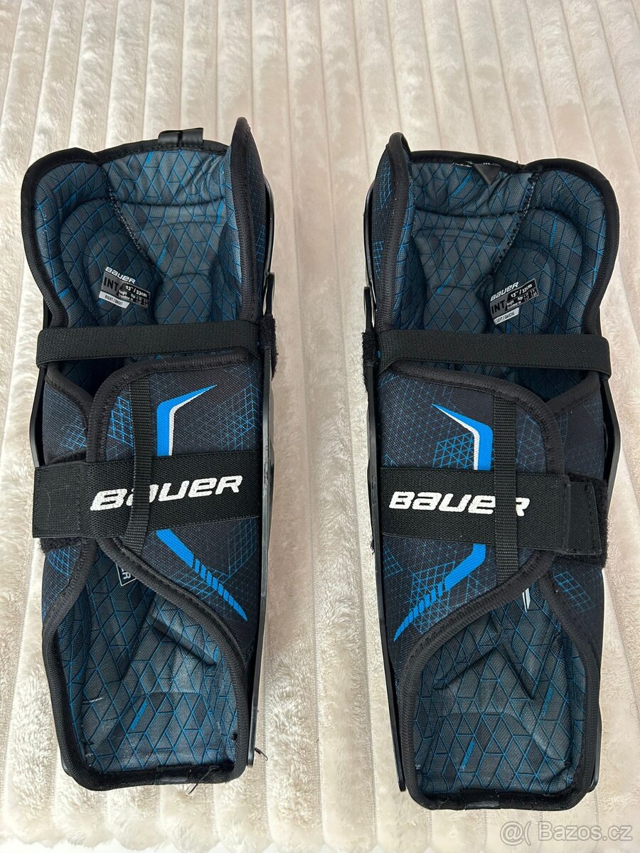 Holeně Bauer X - 2