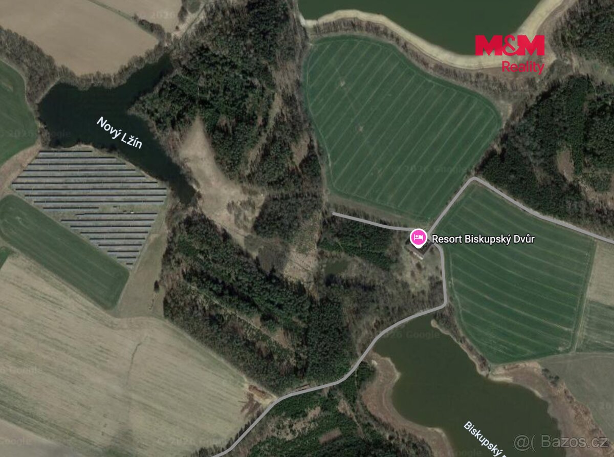 Prodej lesa, 6834 m², Dírná - 2