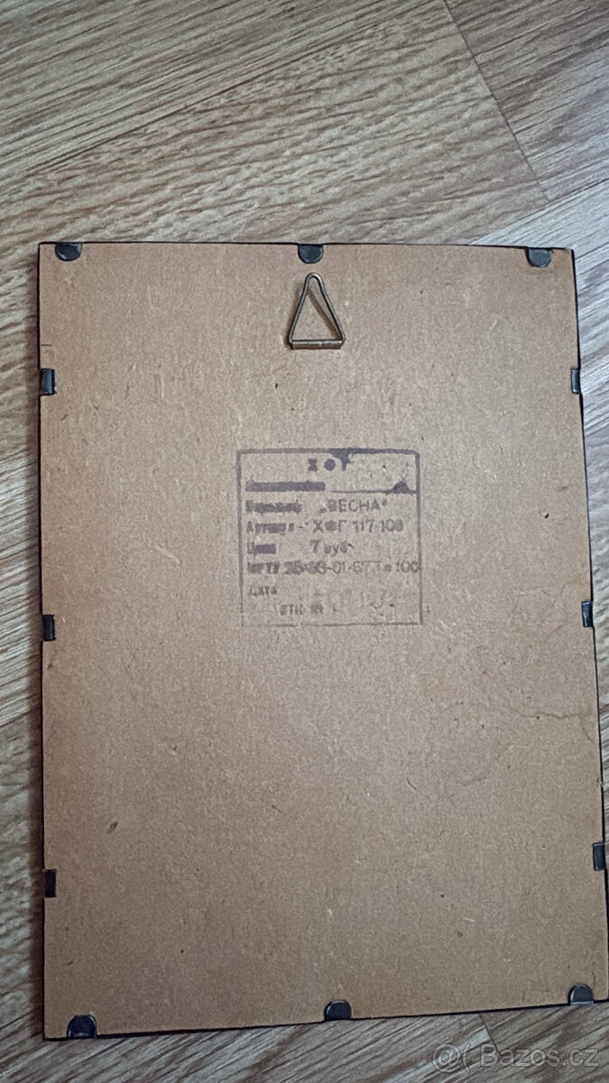 Kovový plastický obrázek, exotika - 2