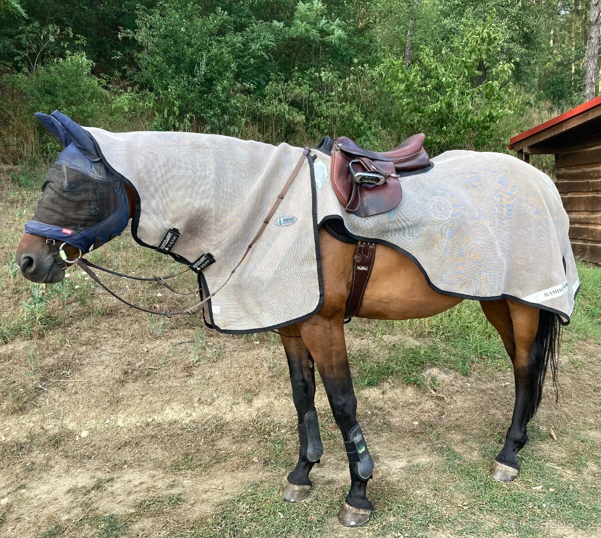 Prodám jezdeckou síťovanou deku Rambo - 2