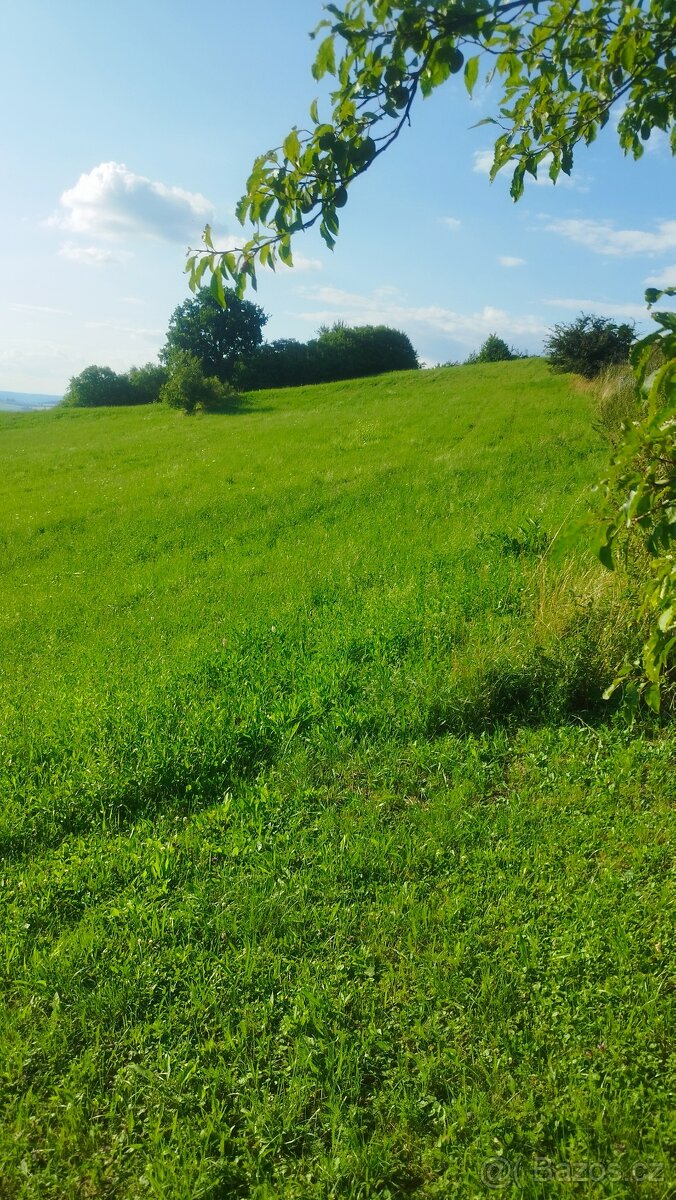 Pronájem louky cca 2000m2 - 2