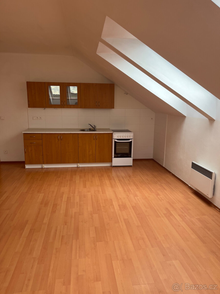 1+kk Apartment in Mohelnice, Podolí – pohled 2