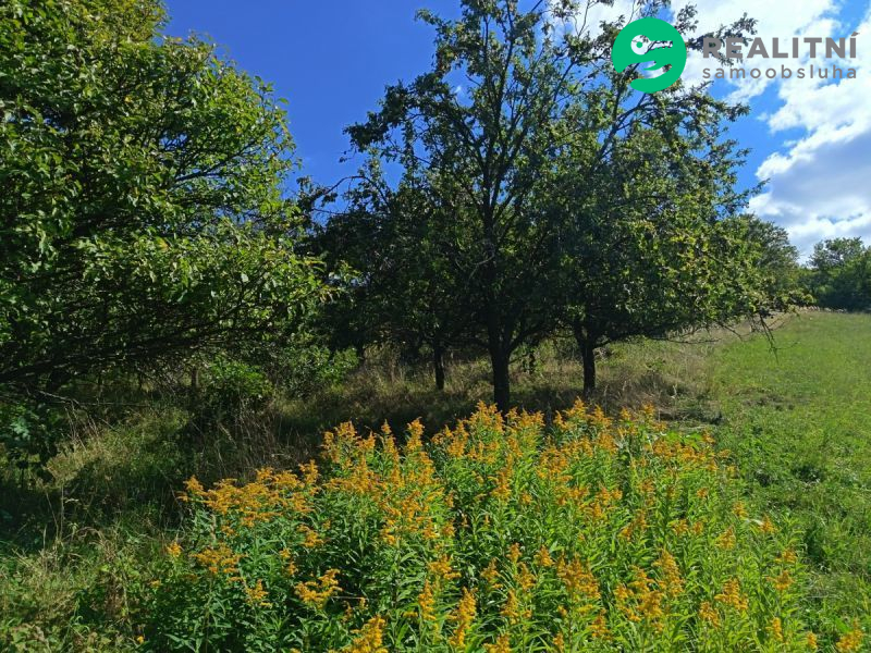 Ovocný sad Blišice - 2