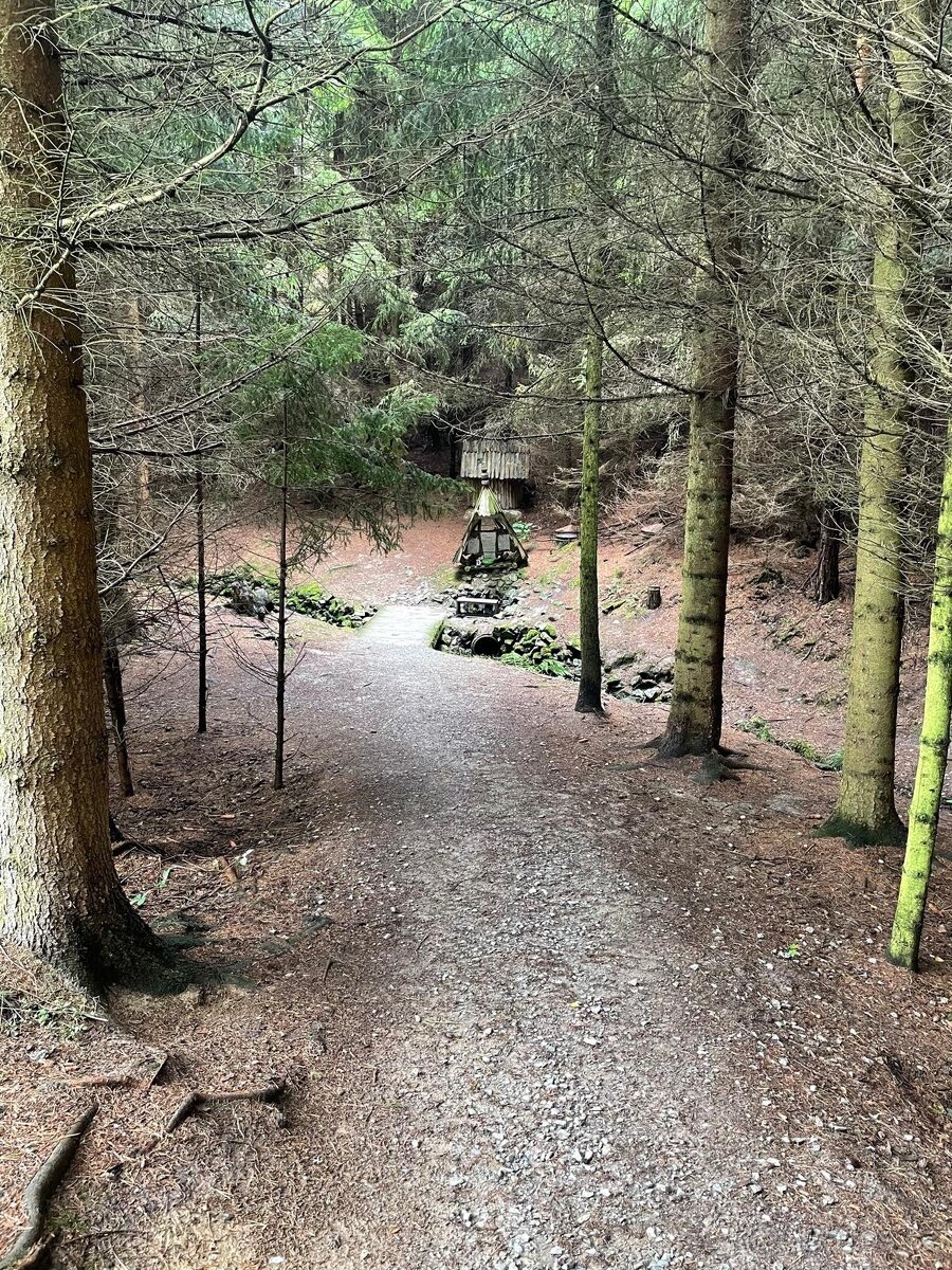 Chata na Hracholuskách mám zájem o pronájem dlouhodobě. - 2