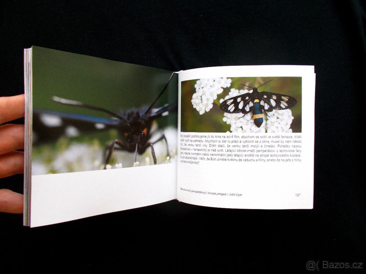 Kéž bych pod hvězdami dobře odtančil svůj tanec - 2