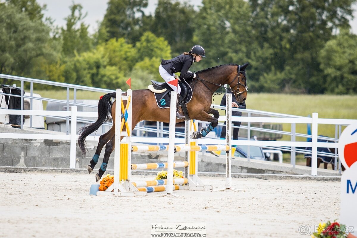 Všestranná klisna - 2