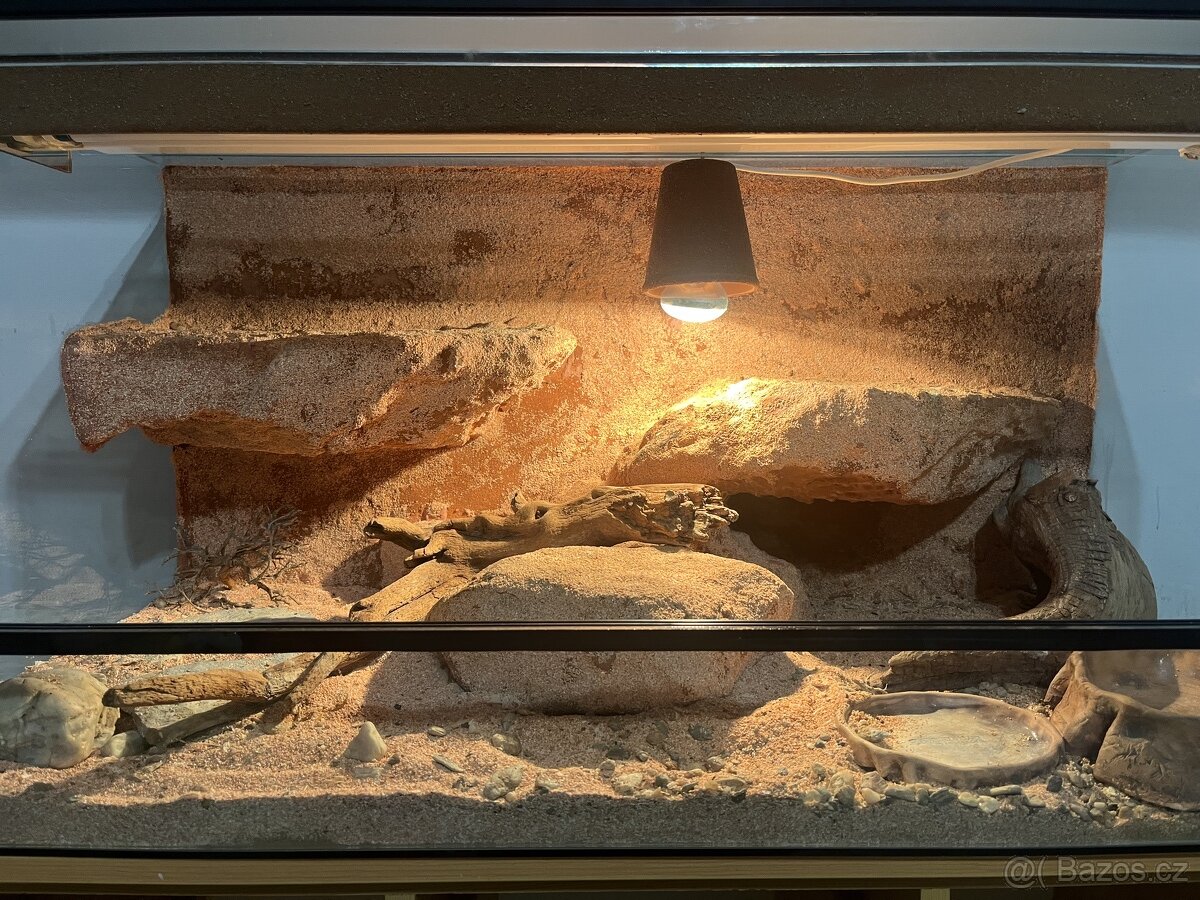 Nabízím terárium - 2