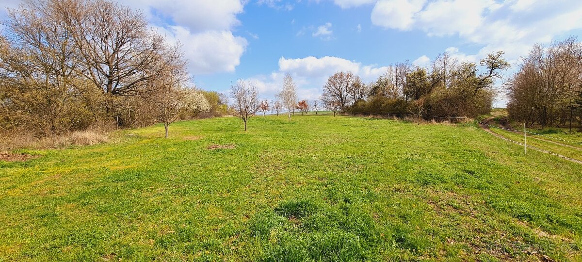 Pastevní ustájení s možností boxu-jedno místo volné - 2