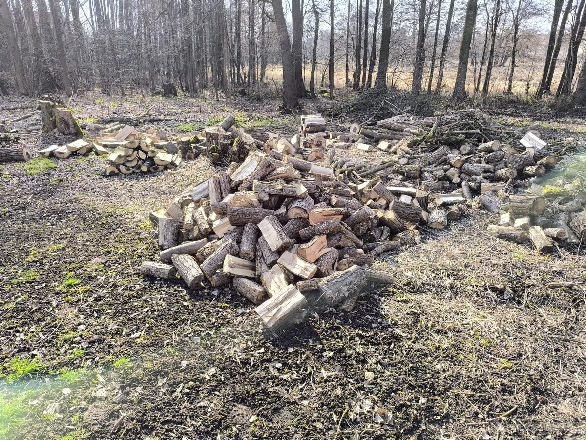 Dřevo na topeni - 2