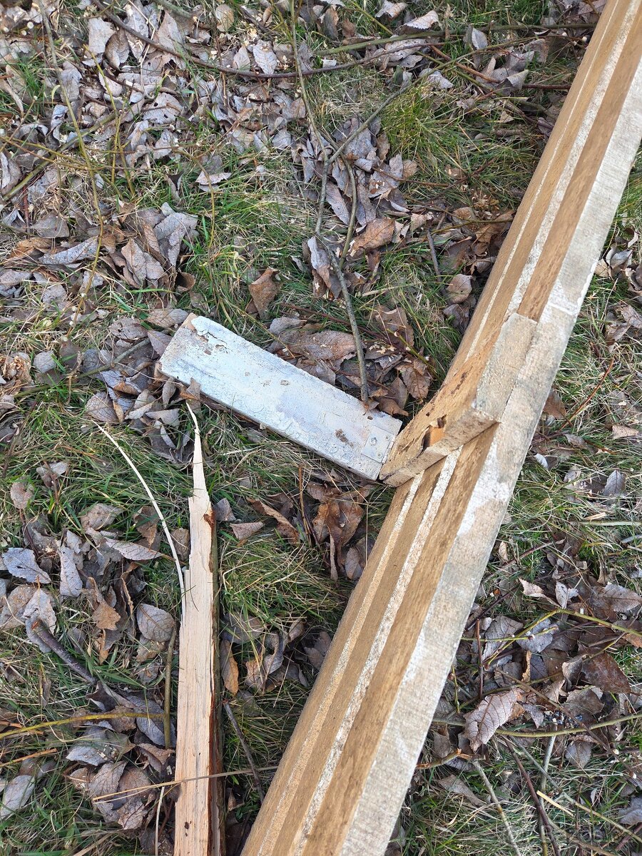 Nabízím drezurni oplutek - 2