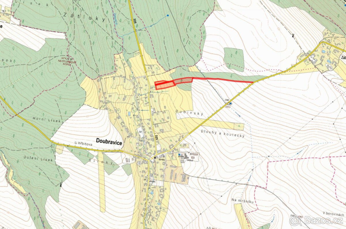 Louka, prodej, Doubravice, Trutnov - 2