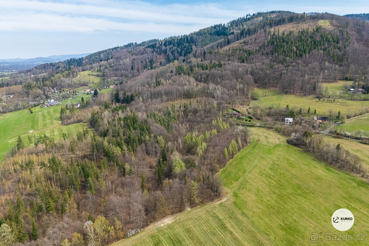 Prodej lesního pozemku, 20 736 m², Vyšní Lhoty - 2