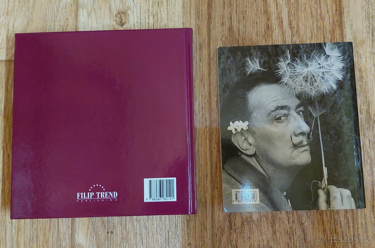 Nové knihy Nikdo nejsme dokonalí a Dalí - 2