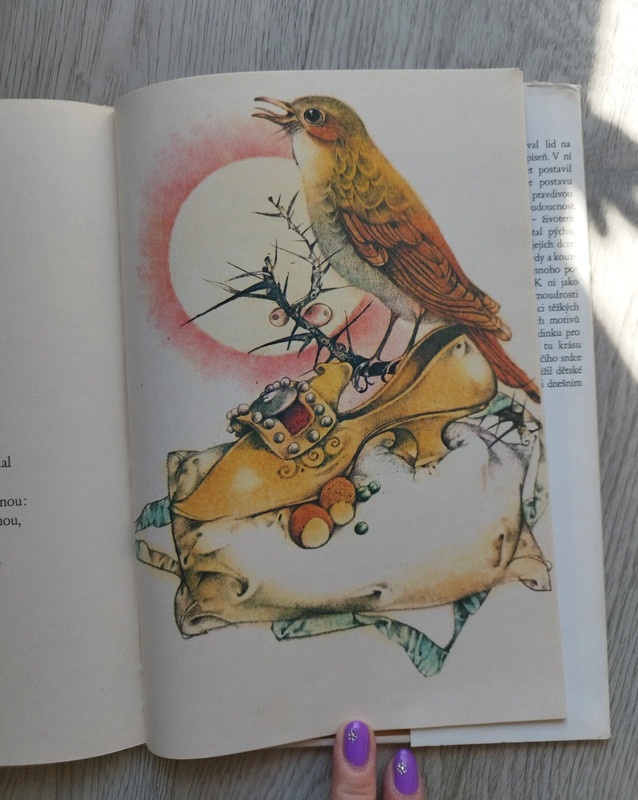 Popelka - Jan Pilař - 2