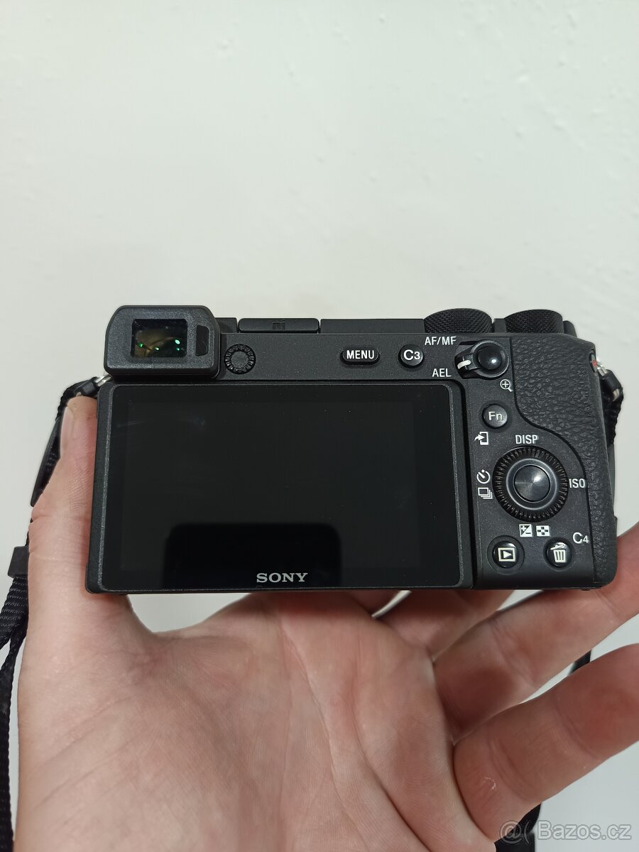 Sony A6600 + Sony Nex5R - 2