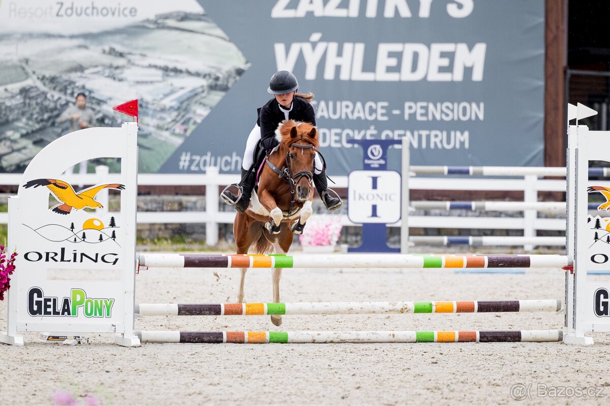 Pony klisna - 2