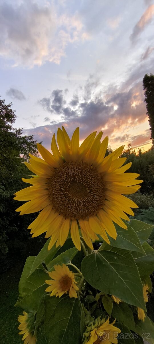 Hledám chatu k pronájmu Plzeň Rokycany Dobřív, Strašice aj - 2