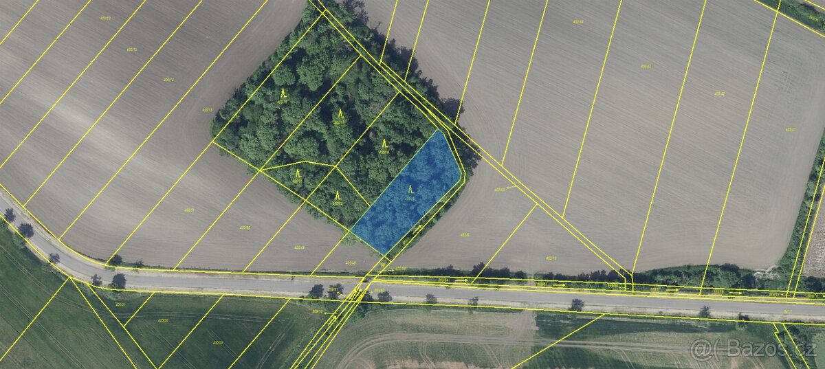 Prodám lesní pozemek v k.ú. Solany - 2