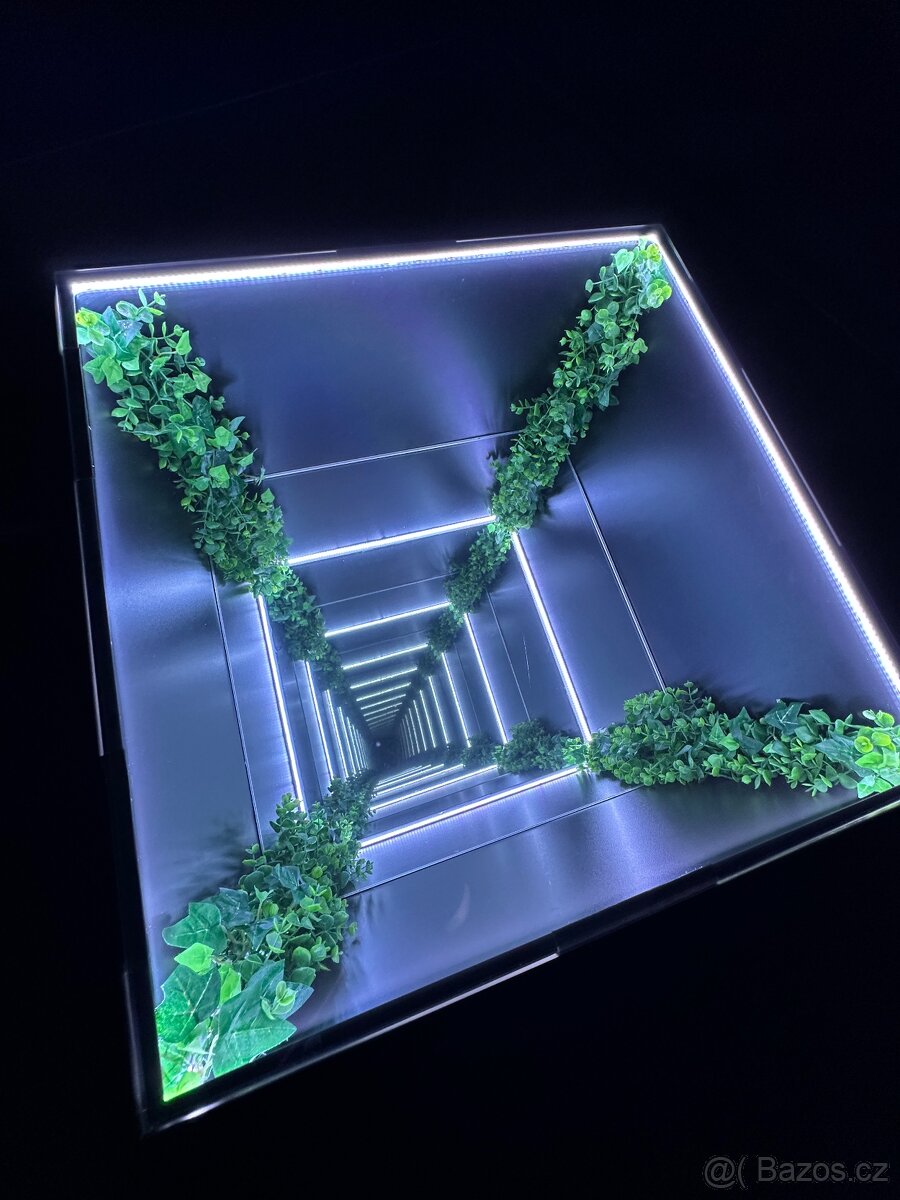 Aurelia Infinity - 2