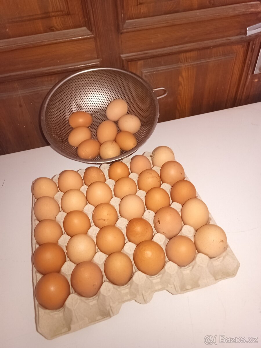 Domácí vajicka - 2