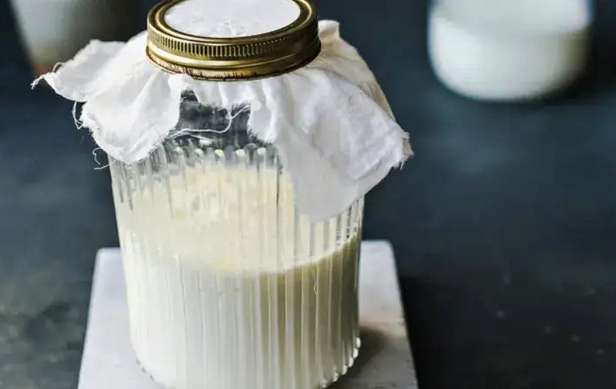 Bio Kefír - Tibetská huba - 2