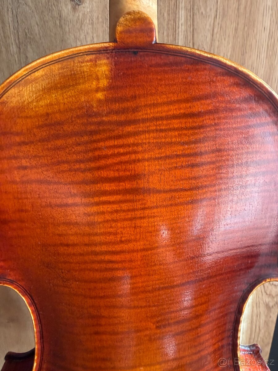 Malá violka - 2