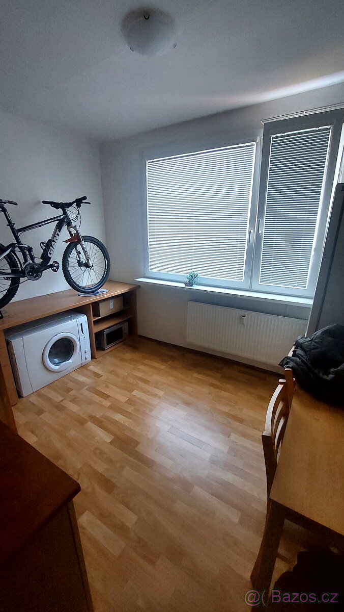 Prodej družstevního bytu 1+1 s balkónem - 2