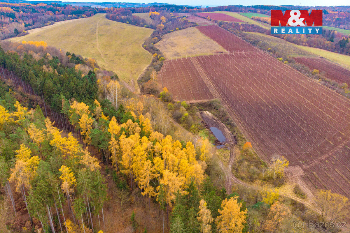 Prodej lesa, 2921 m², Tuchořice - 2
