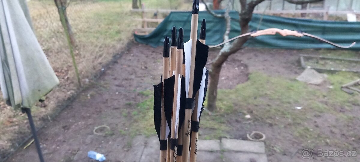 Prodám luk a šípy - 2