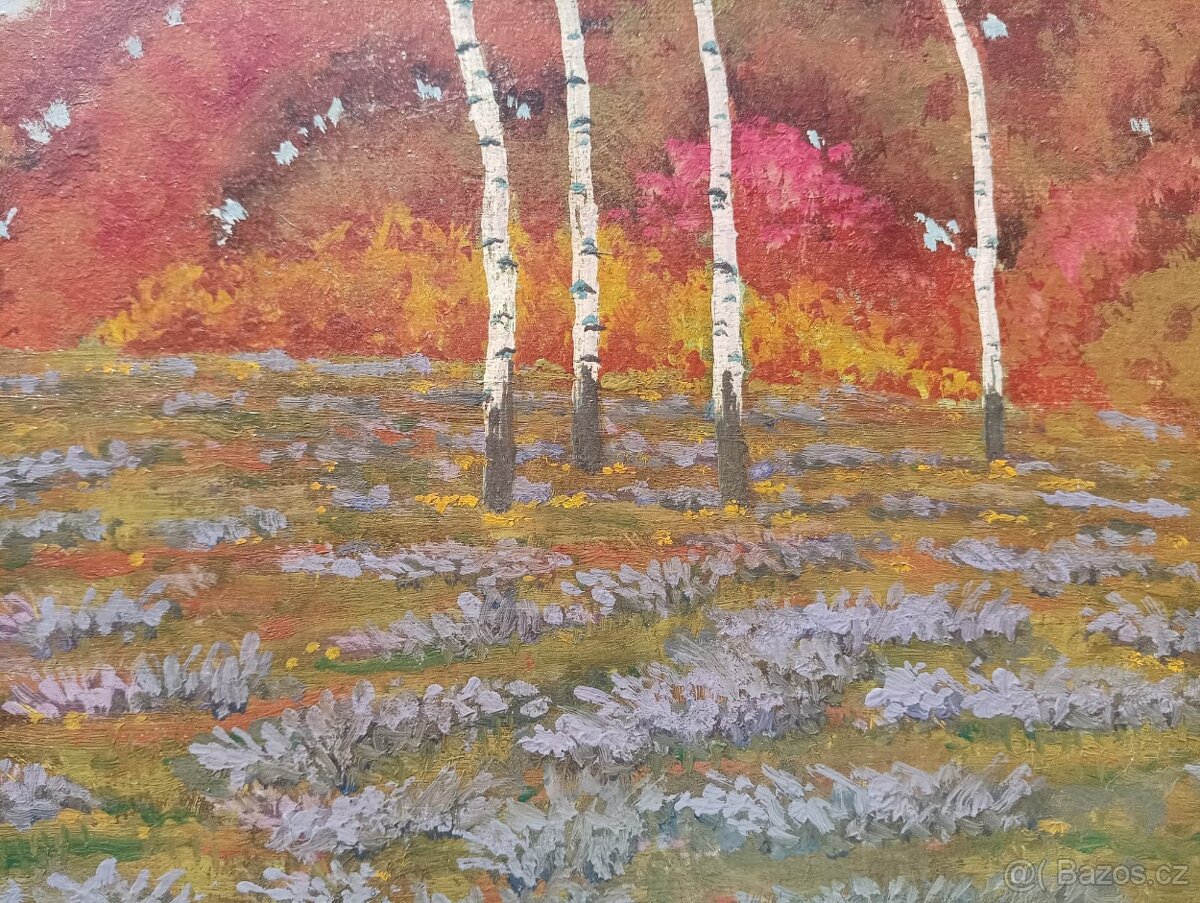 HRBEK OBRAZ OLEJ NA KARTONU - 2