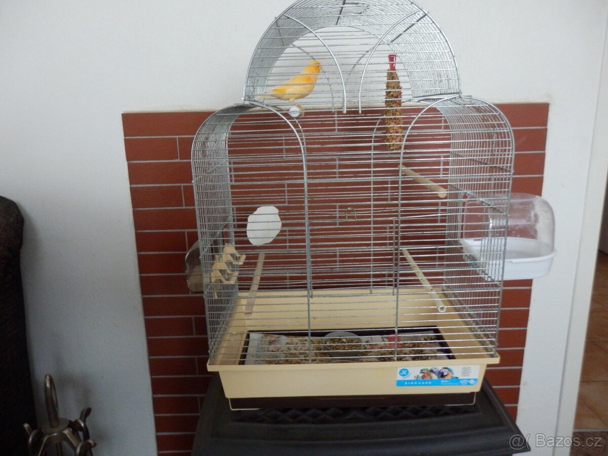 Kanárek sameček s klecí. - 2