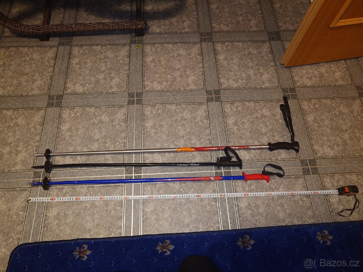 Hůlky na lyže (modré a černé prodáno) - 2