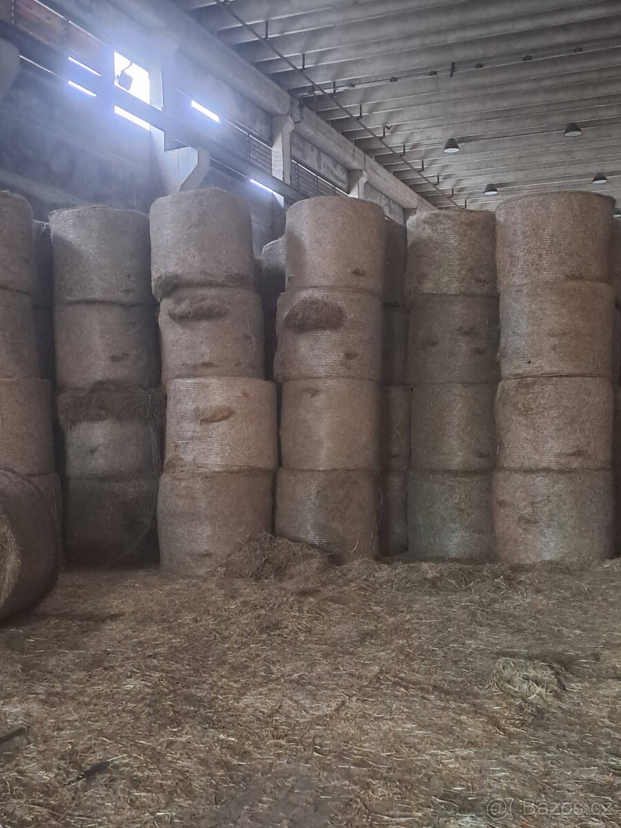 Prodám seno - balíky sena - 2