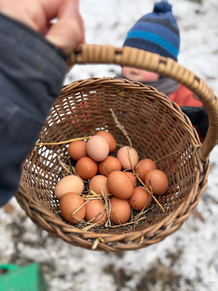 Domácí vajíčka - 2